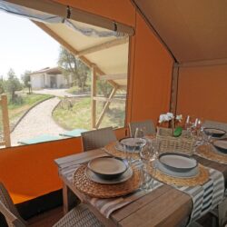 Glamping Tuscany - Lodge Safari