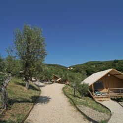 Glamping Tuscany - Lodge Safari